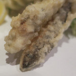 手打ち蕎麦 ほかげ - 稚鮎の天婦羅（千葉）　ズームアップ