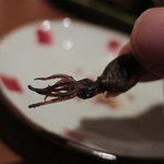 手打ち蕎麦 ほかげ - ホタルイカの干物喰らう