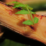 手打ち蕎麦 ほかげ - 焼き筍（三重）　ズームアップ