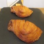 テーラ・テール - サリュー