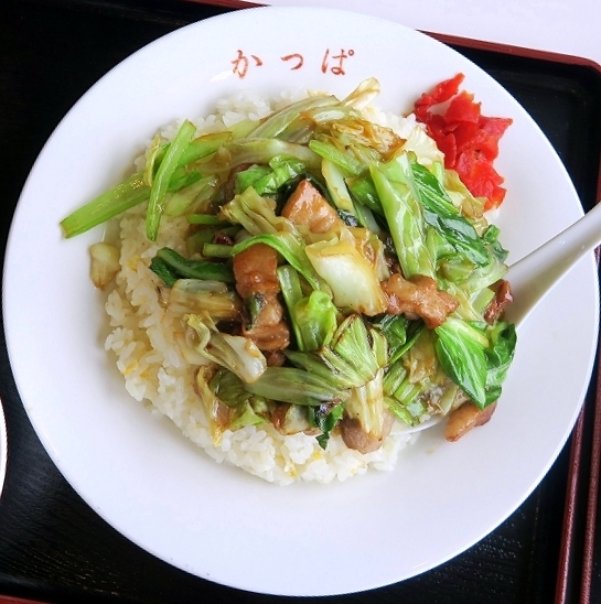 かっぱ食堂 伊豆稲取 中華料理 食べログ かっぱ食堂 伊豆稲取 中華料理 食べログ