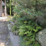 虎屋 壺中庵 - 自然を凝縮させたかのような庭