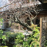 虎屋 壺中庵 - 自然を凝縮させたかのような庭