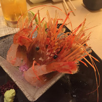 函館うに むらかみ 日本生命札幌ビル店 - 