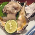 やたがらす - 徳島産　岩牡蠣
