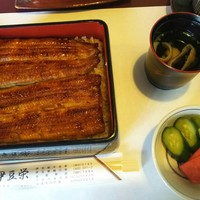 鰻割烹 伊豆栄 不忍亭 - うな重（梅）