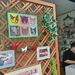 手作り雑貨とコーヒーのお店 ティニーガーデン - ニャンコ　2017/09