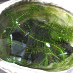 手挽きそば 一心 - 外観１　玄関先のビオトープ