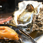 太鼓判亭 - 20年物(？)の特大な牡蠣でした。