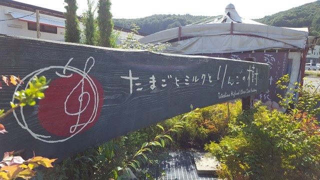 蓼科高原チーズケーキ工房 茅野 ケーキ 食べログ 蓼科高原チーズケーキ工房 茅野 ケーキ 食べログ