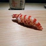 鮨 さかい - 博多湾の車海老