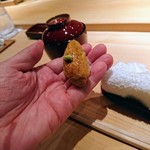 鮨 さかい - 焼尻のウニ
