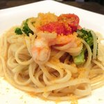 チェルバイア - プランツォＡ　1200円 の海老のフレッシュトマトのリングイネ カラスミ添え