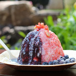Island Vintage Shave Ice - 