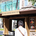 Island Vintage Shave Ice - 