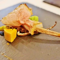 ラ ヴィオレッタ - 純血チンタセネーゼのLボーンのグリル