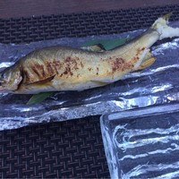 がんこ 高瀬川二条苑 - 鮎塩焼