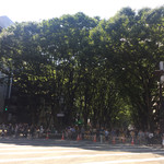 さふらん - 2017年9月。27回仙台ジャズフェス。