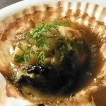 オウレット - ホタテ