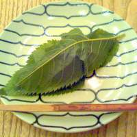 HIGASHIYA GINZA - 