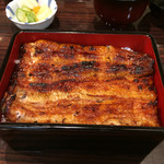 うなぎ 魚政 - 坂東太郎特上