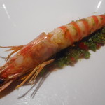 レフェルヴェソンス - 車海老の乳清ポシェ，胡瓜と青柚子のヴィネグレット