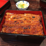 うなぎ 魚政 - 坂東太郎特上