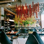 Nicolai Bergmann NOMU - 