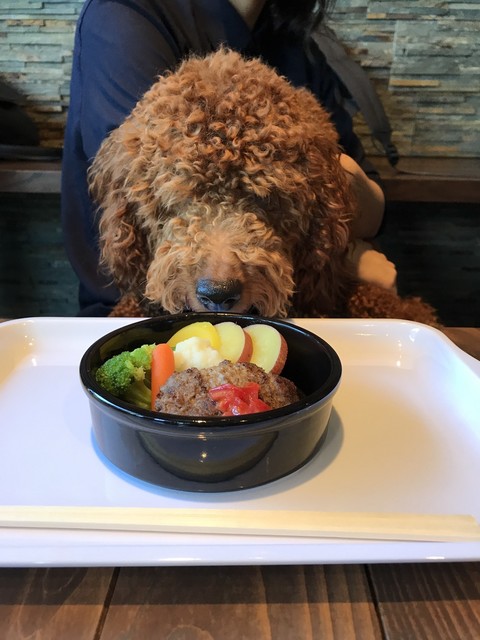 コージーカフェ ダイン Cozy Cafe Dain 本郷台 カフェ 喫茶 その他 食べログ コージーカフェ ダイン Cozy Cafe Dain 本郷台 カフェ 喫茶 その他 食べログ