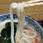 天狗庵 - 細めで少し柔麺 コシはあり‼︎  一味七味のフリフリ