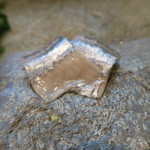 寿司栄 - 29年9月　秋刀魚　秋刀魚肝醤油