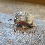 寿司栄 - 29年9月　秋刀魚炙り