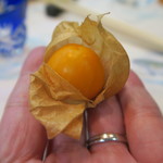 寿司栄 - 29年9月　ホオズキ