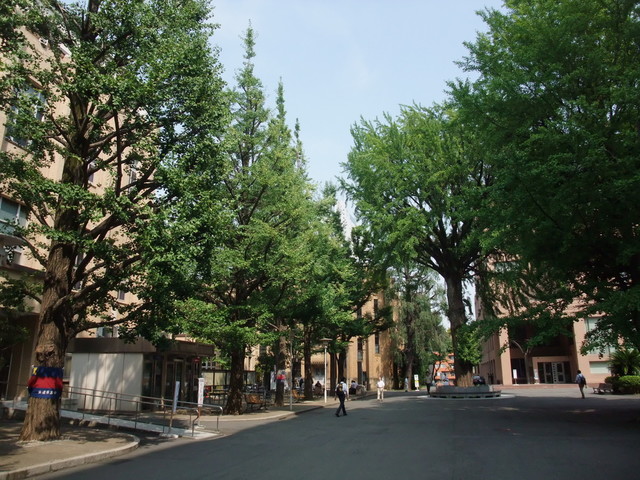 若き血に燃えて 三田キャンパスグルメ 慶應義塾大学三田キャンパスの生協食堂です By 鉄の旅 慶應義塾生活協同組合三田食堂 Fiesta 三田 学生食堂 食べログ