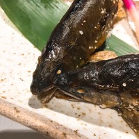 柳家錦 - 