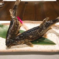 柳家錦 - 