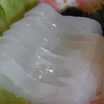 白菊 - 