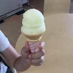 요코바타케 레이카