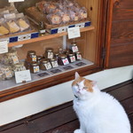 贈りもの菓子食堂 Ｍouette - 