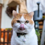 贈りもの菓子食堂 Ｍouette - 