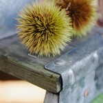 贈りもの菓子食堂 Ｍouette - 