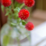 贈りもの菓子食堂 Ｍouette - 