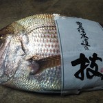Koriyourinomoto - 真鯛(豊後水道産)