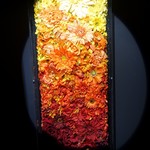 レスト ケイ ヤマウチ - 