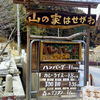 山の家はせがわ