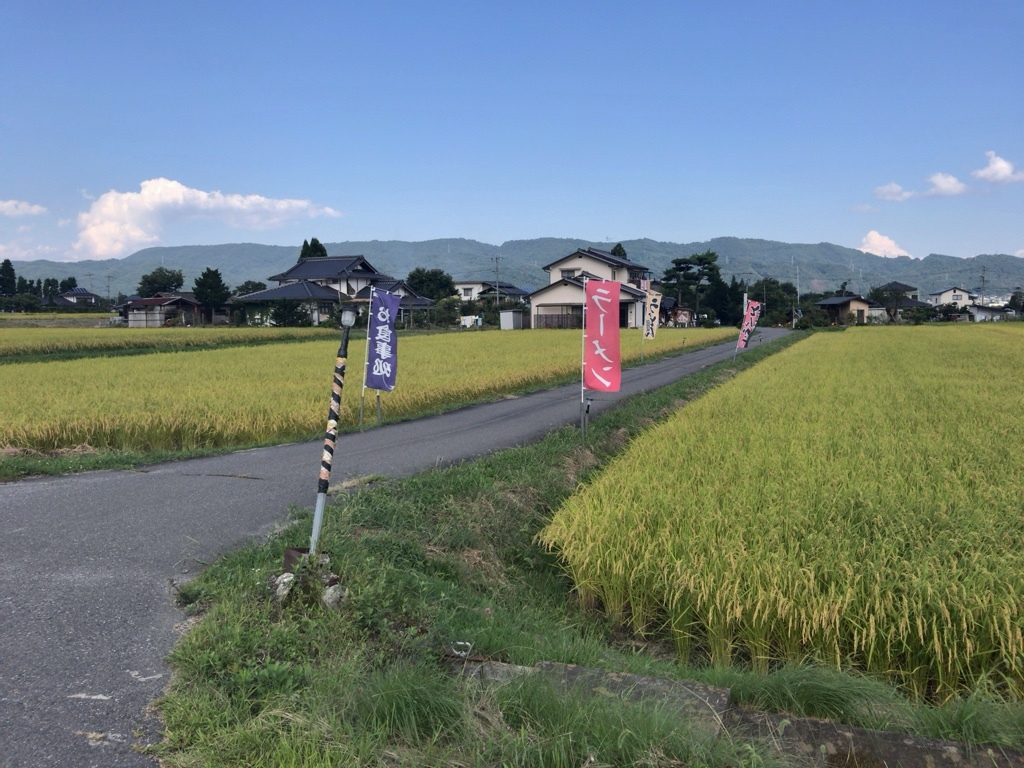 たぬき食堂 name=