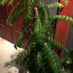 インドカレー クシ - 