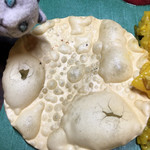 インドカレー クシ - 