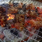 ホルモン焼肉　かど屋 - カルビ焼き焼き～♪