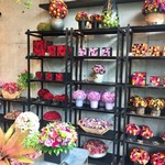 Nicolai Bergmann NOMU - 